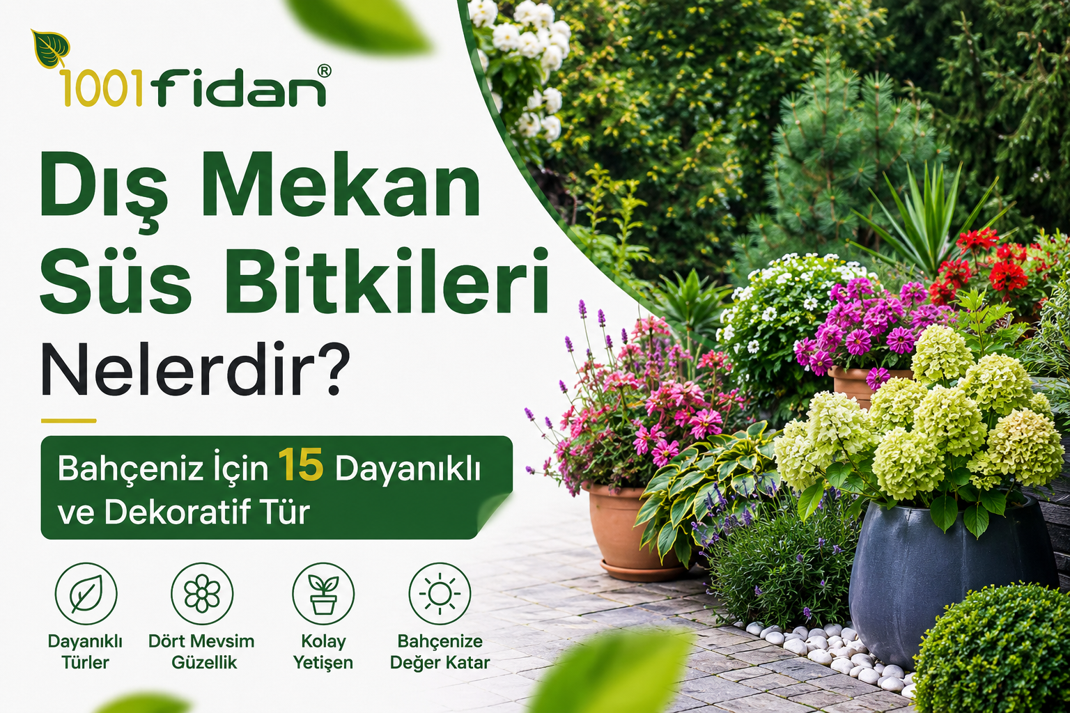 Bahçe peyzajında kullanılan dış mekan süs bitkileri