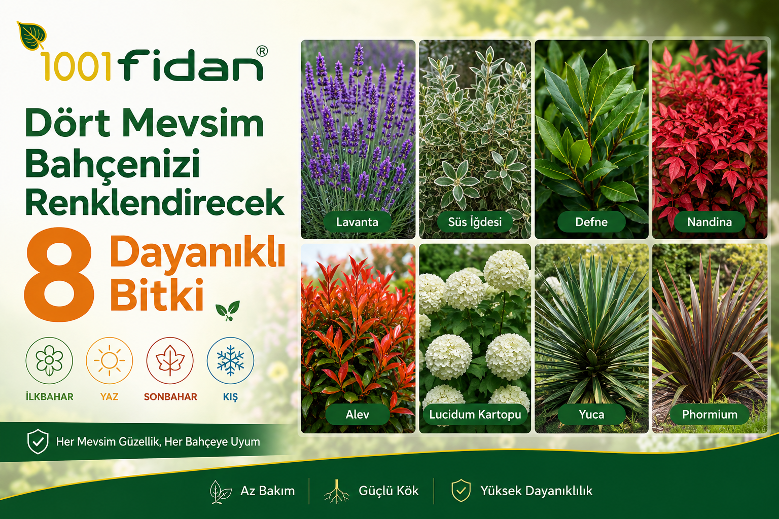 Dört mevsim yeşil kalan dayanıklı bahçe bitkileri